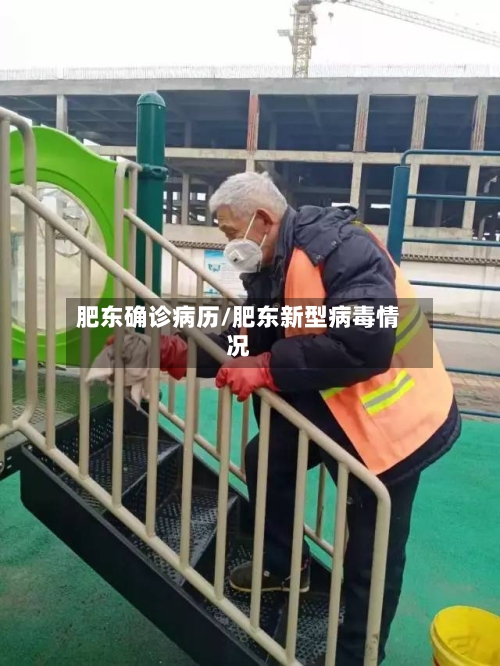 肥东确诊病历/肥东新型病毒情况