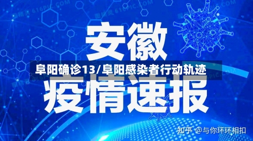 阜阳确诊13/阜阳感染者行动轨迹-第2张图片