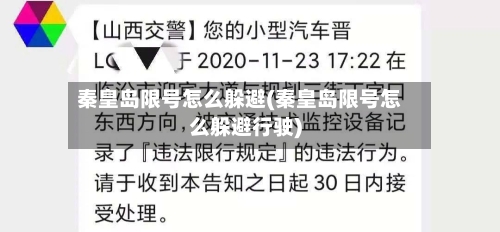 秦皇岛限号怎么躲避(秦皇岛限号怎么躲避行驶)-第3张图片