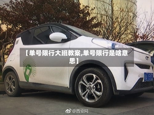 【单号限行大班教案,单号限行是啥意思】