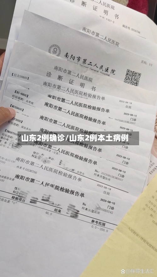 山东2例确诊/山东2例本土病例