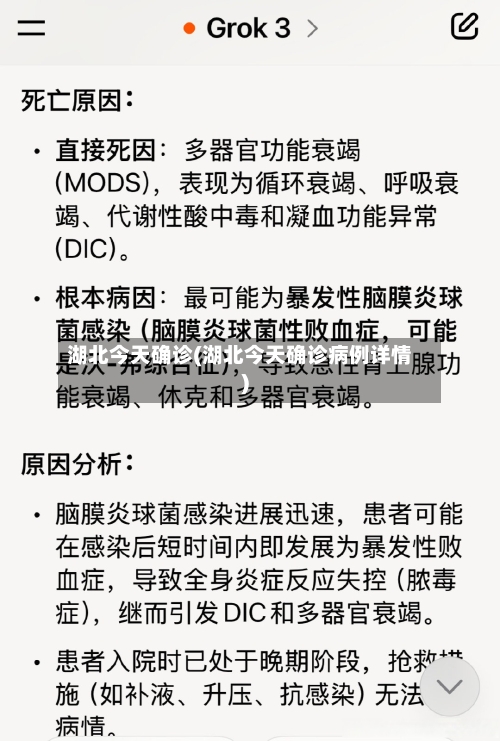 湖北今天确诊(湖北今天确诊病例详情)-第3张图片