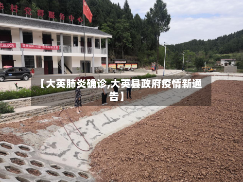 【大英肺炎确诊,大英县政府疫情新通告】-第3张图片
