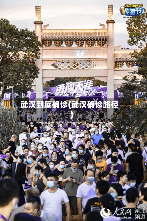 武汉到底确诊(武汉确诊路径)