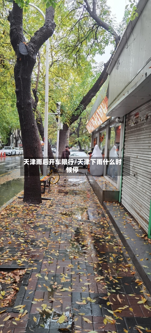 天津雨后开车限行/天津下雨什么时候停-第2张图片