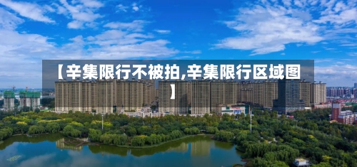 【辛集限行不被拍,辛集限行区域图】