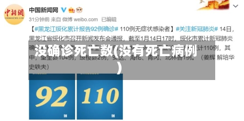 没确诊死亡数(没有死亡病例)-第2张图片
