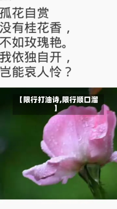 【限行打油诗,限行顺口溜】-第3张图片