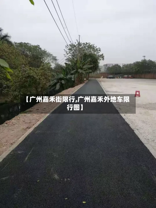 【广州嘉禾街限行,广州嘉禾外地车限行图】-第3张图片