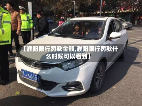 【濮阳限行罚款金额,濮阳限行罚款什么时候可以看到】