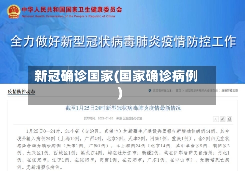 新冠确诊国家(国家确诊病例)-第2张图片