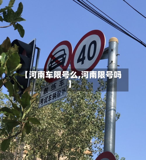 【河南车限号么,河南限号吗】-第3张图片
