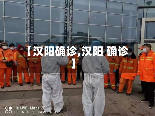 【汉阳确诊,汉阳 确诊】