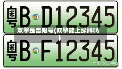 双擎是否限号(双擎能上绿牌吗)-第3张图片