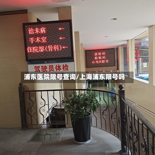 浦东医院限号查询/上海浦东限号吗-第2张图片
