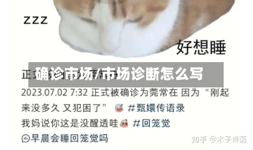 确诊市场/市场诊断怎么写-第2张图片