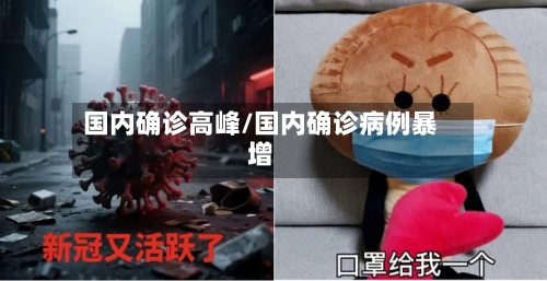 国内确诊高峰/国内确诊病例暴增-第2张图片