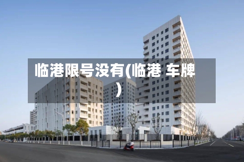 临港限号没有(临港 车牌)-第2张图片