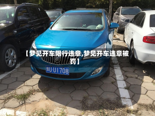 【梦见开车限行违章,梦见开车违章被罚】-第2张图片