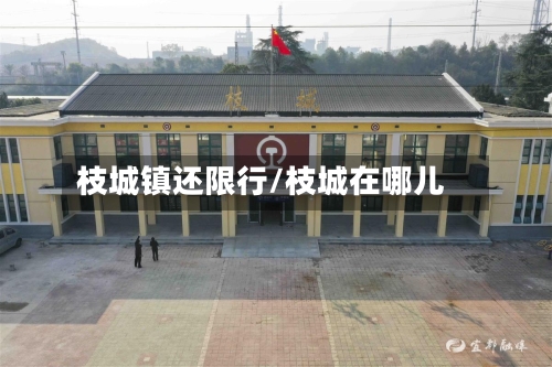 枝城镇还限行/枝城在哪儿