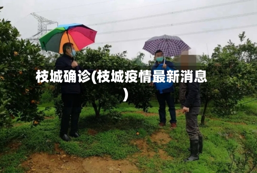 枝城确诊(枝城疫情最新消息)-第2张图片