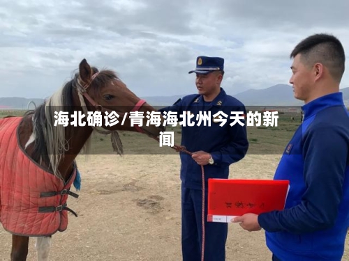海北确诊/青海海北州今天的新闻-第2张图片