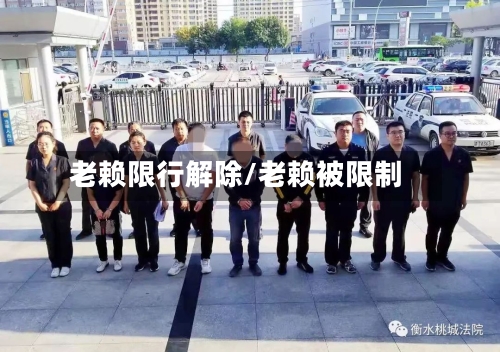 老赖限行解除/老赖被限制-第2张图片