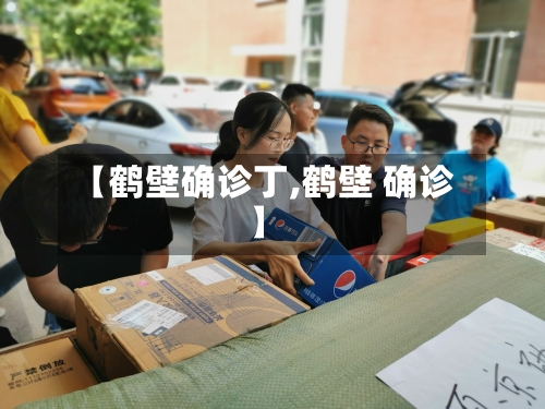 【鹤壁确诊丁,鹤壁 确诊】