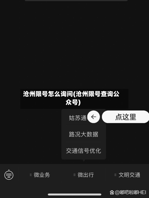 沧州限号怎么询问(沧州限号查询公众号)-第2张图片