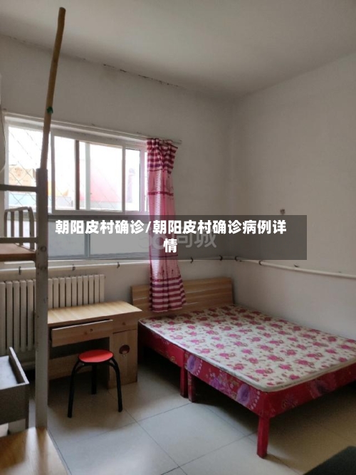 朝阳皮村确诊/朝阳皮村确诊病例详情-第2张图片