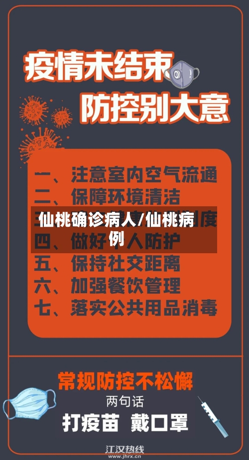 仙桃确诊病人/仙桃病例