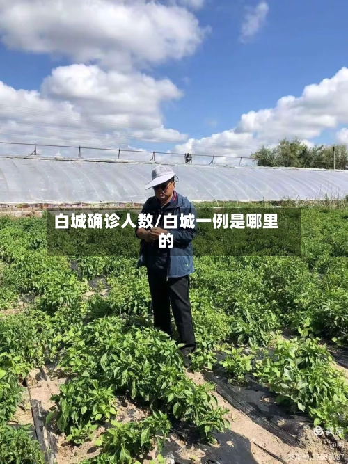 白城确诊人数/白城一例是哪里的-第2张图片