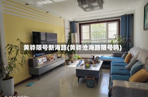 黄骅限号新海路(黄骅沧海路限号吗)-第3张图片