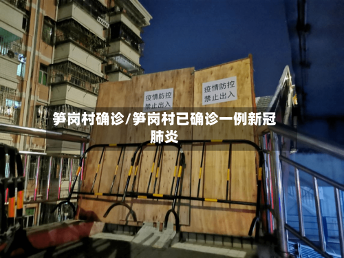 笋岗村确诊/笋岗村已确诊一例新冠肺炎-第2张图片
