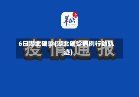 6日湖北确诊(湖北确诊病例行动轨迹)-第2张图片