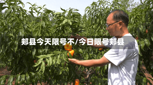 郏县今天限号不/今日限号郏县