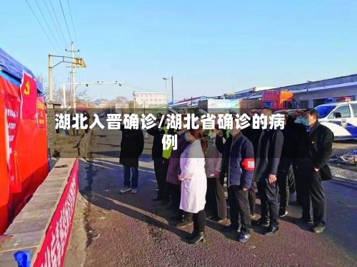 湖北入晋确诊/湖北省确诊的病例-第2张图片