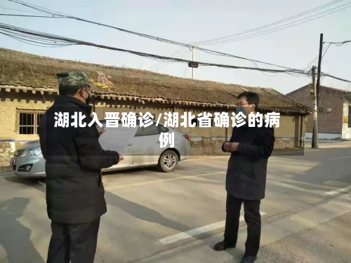 湖北入晋确诊/湖北省确诊的病例