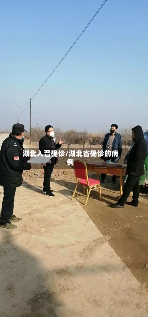 湖北入晋确诊/湖北省确诊的病例-第3张图片