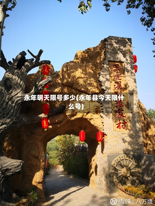 永年明天限号多少(永年县今天限什么号)-第3张图片