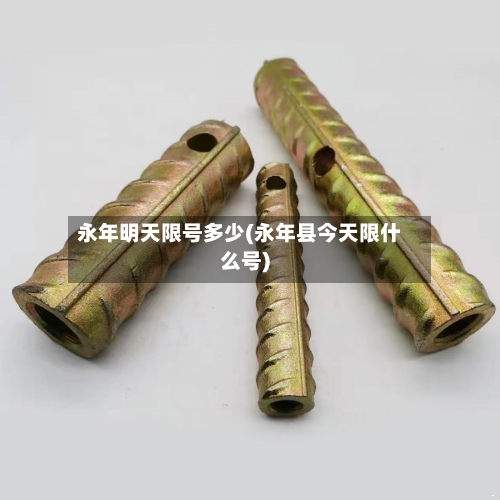 永年明天限号多少(永年县今天限什么号)