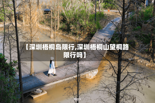 【深圳梧桐岛限行,深圳梧桐山望桐路限行吗】