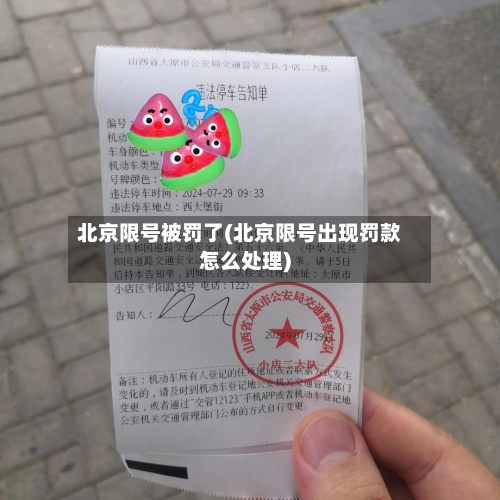 北京限号被罚了(北京限号出现罚款怎么处理)