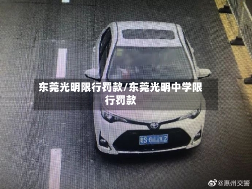 东莞光明限行罚款/东莞光明中学限行罚款