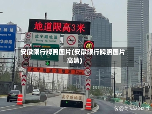 安徽限行牌照图片(安徽限行牌照图片高清)-第2张图片