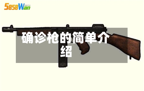 确诊枪的简单介绍