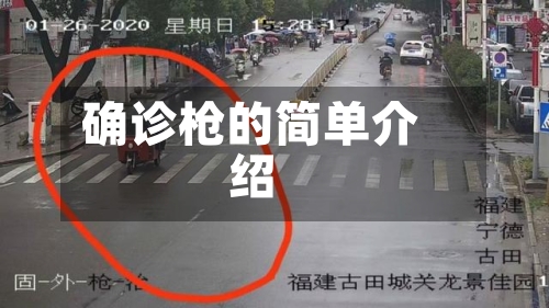 确诊枪的简单介绍-第3张图片