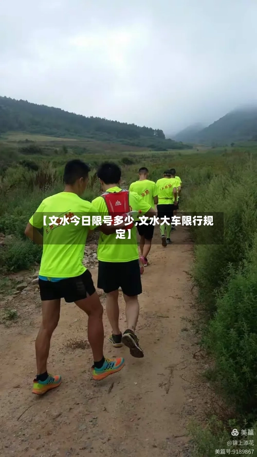 【文水今日限号多少,文水大车限行规定】-第2张图片