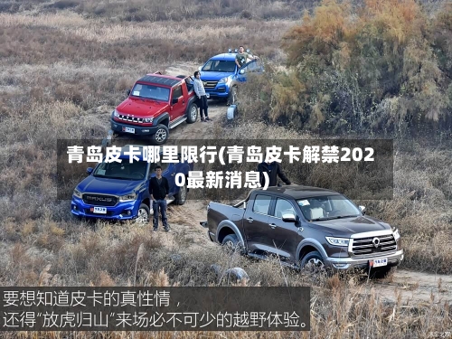 青岛皮卡哪里限行(青岛皮卡解禁2020最新消息)