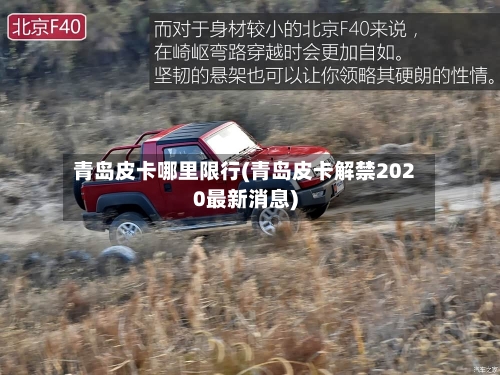 青岛皮卡哪里限行(青岛皮卡解禁2020最新消息)-第2张图片